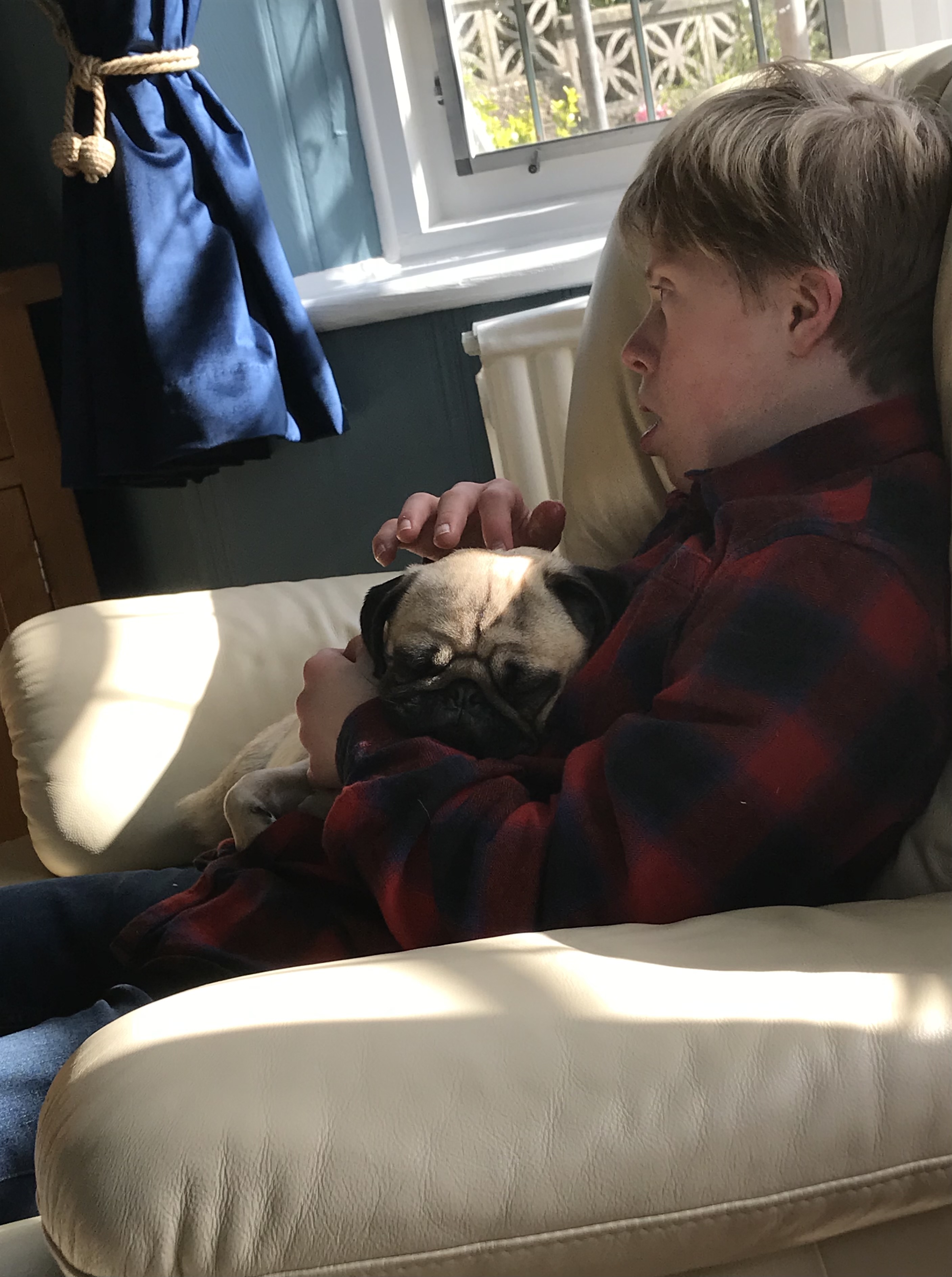 A boy watches TV as a Pug sleeps on his lap