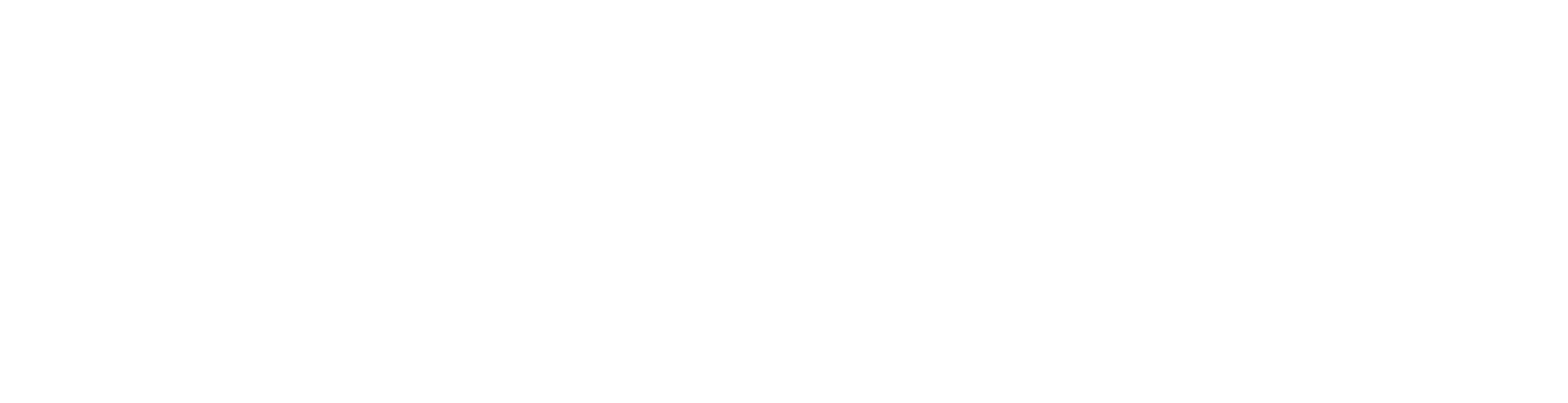 Sunrise Medical Logo