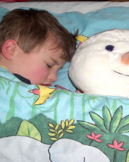 The Christmas Story and additional needs families