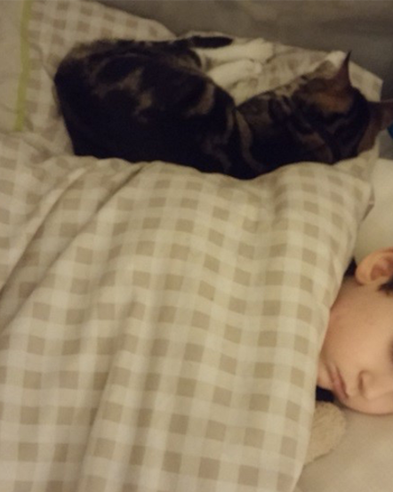 Special Needs Parenting: Giving Thanks to the Monitor