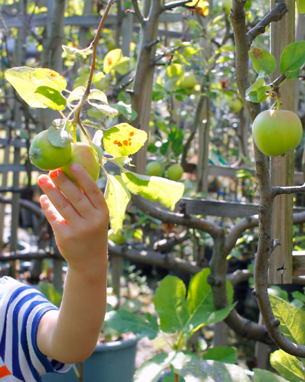 Sensory Spring Fun