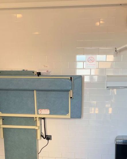 Incontinence, pads and Changing Places