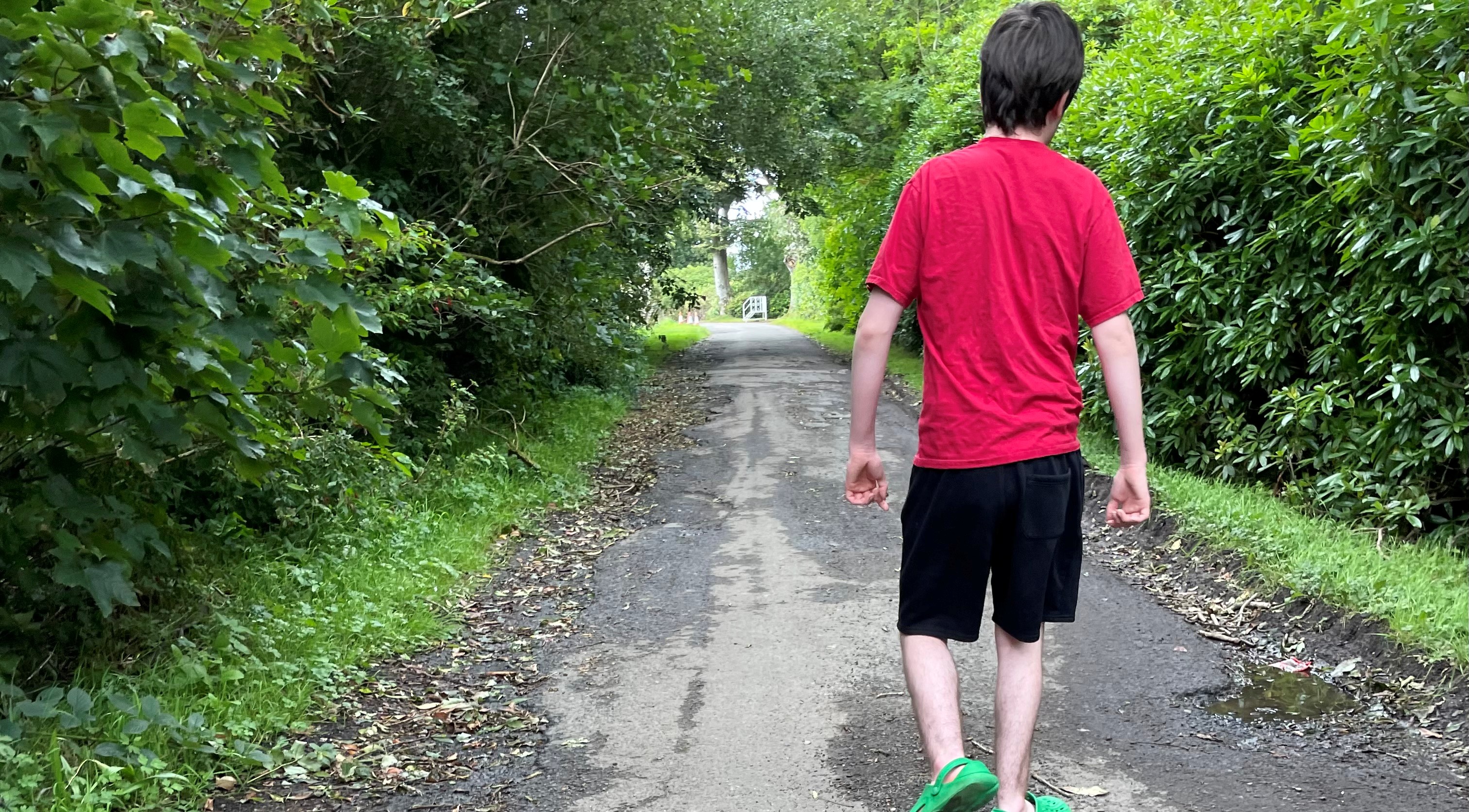 A young man walks along a forest path