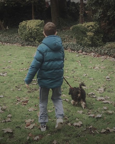 They Call It Puppy Love: What a Dog Has Given Our Family