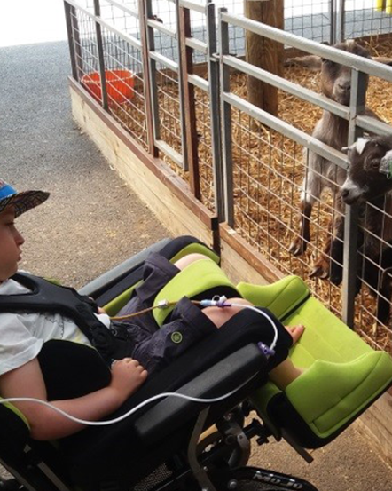 World of Country Life - Visitor Attraction
