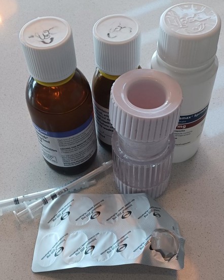 Epilepsy