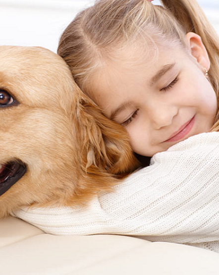 Disability Assistance Dogs