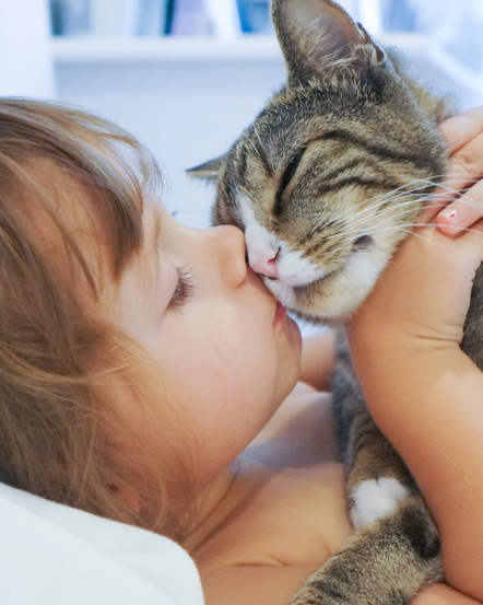 The Benefits of Animals