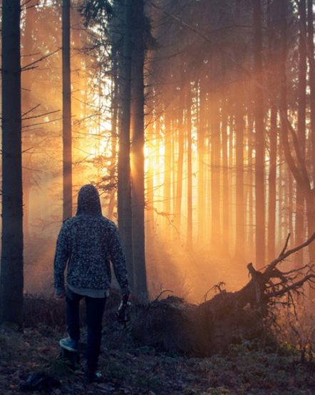 Will We Ever Be Out of the Woods?