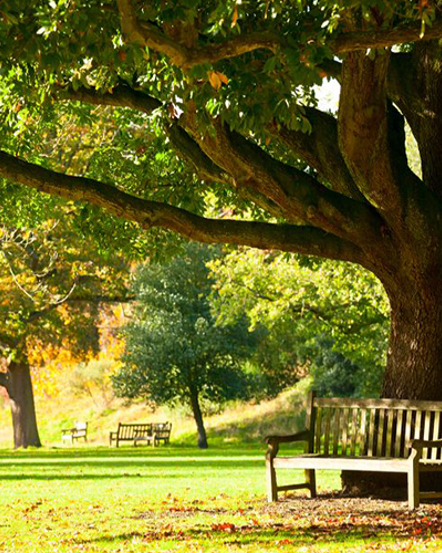 National Trust - A Lovely Family Day Out