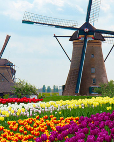 Welcome to Holland