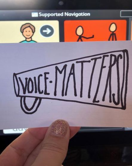 Voice in the absence of Choice
