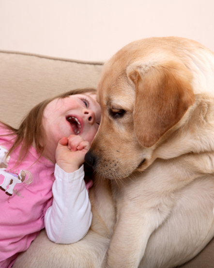 Pet Therapy as an Alternative Therapy