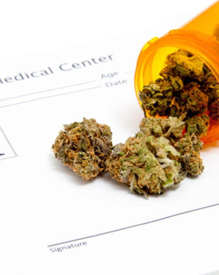 Charlotte’s Web: Medical Marijuana