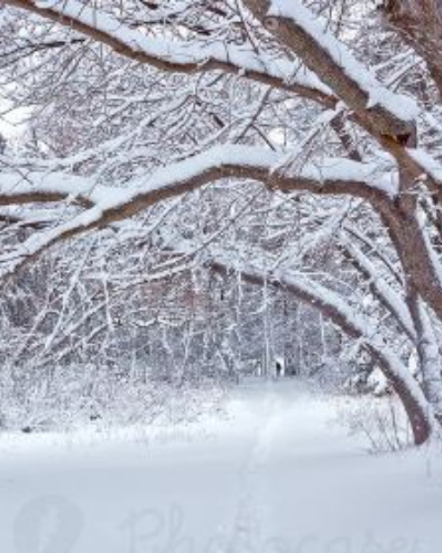 The Gift of Self-Care During the Holidays